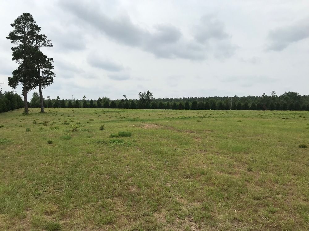 Williston, SC Land - Zoned for Junkyard: 12 SC Highway 39, Williston, SC 29853